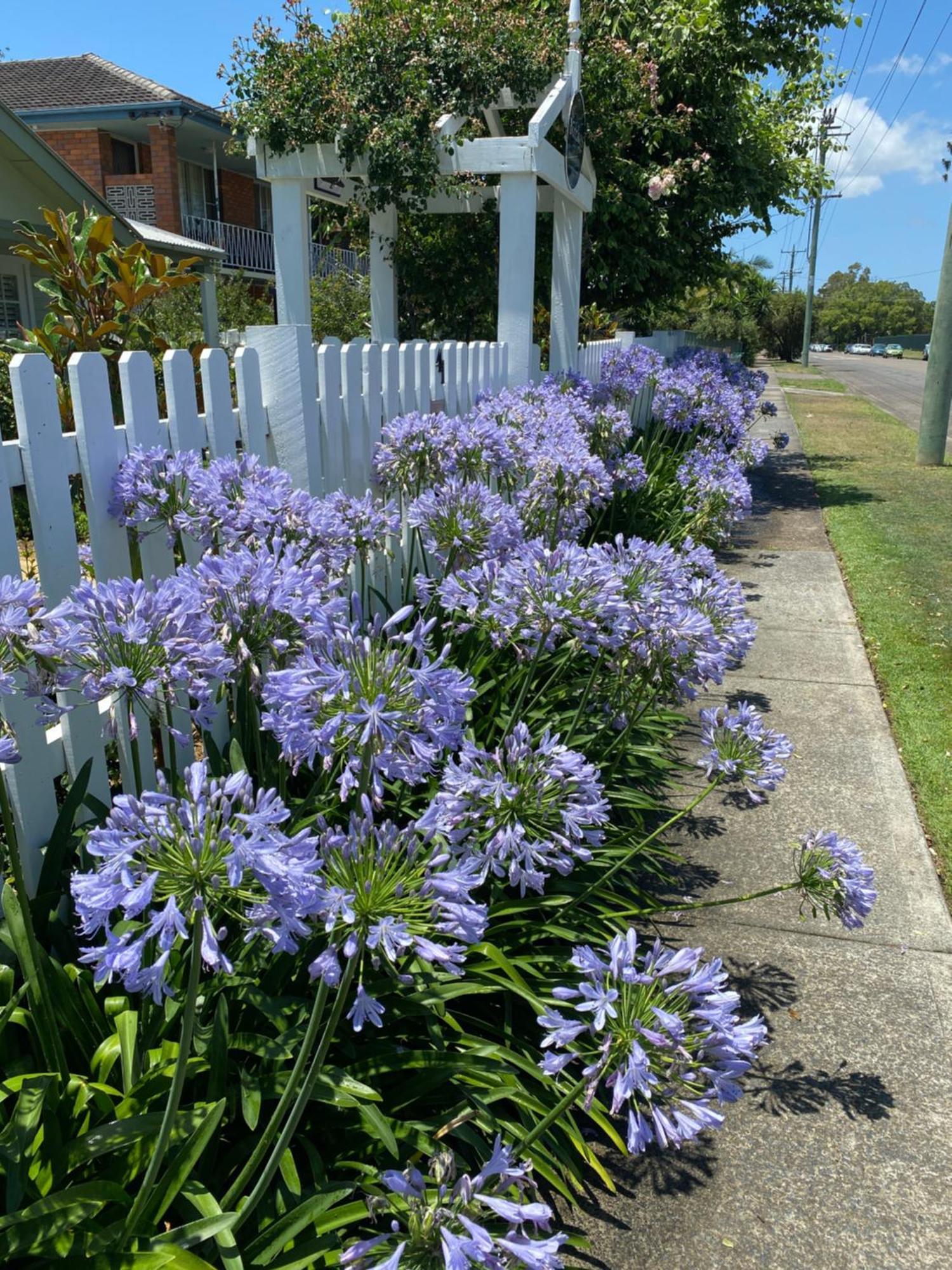 Birches B&B Taree Exterior foto